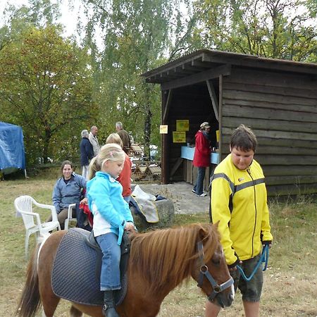 Holiday Home In Wietzendorf In The L Neburg Heath With A View Of The Countryside Luaran gambar