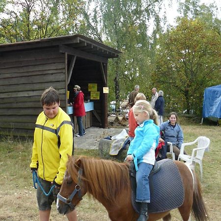 Holiday Home In Wietzendorf In The L Neburg Heath With A View Of The Countryside Luaran gambar