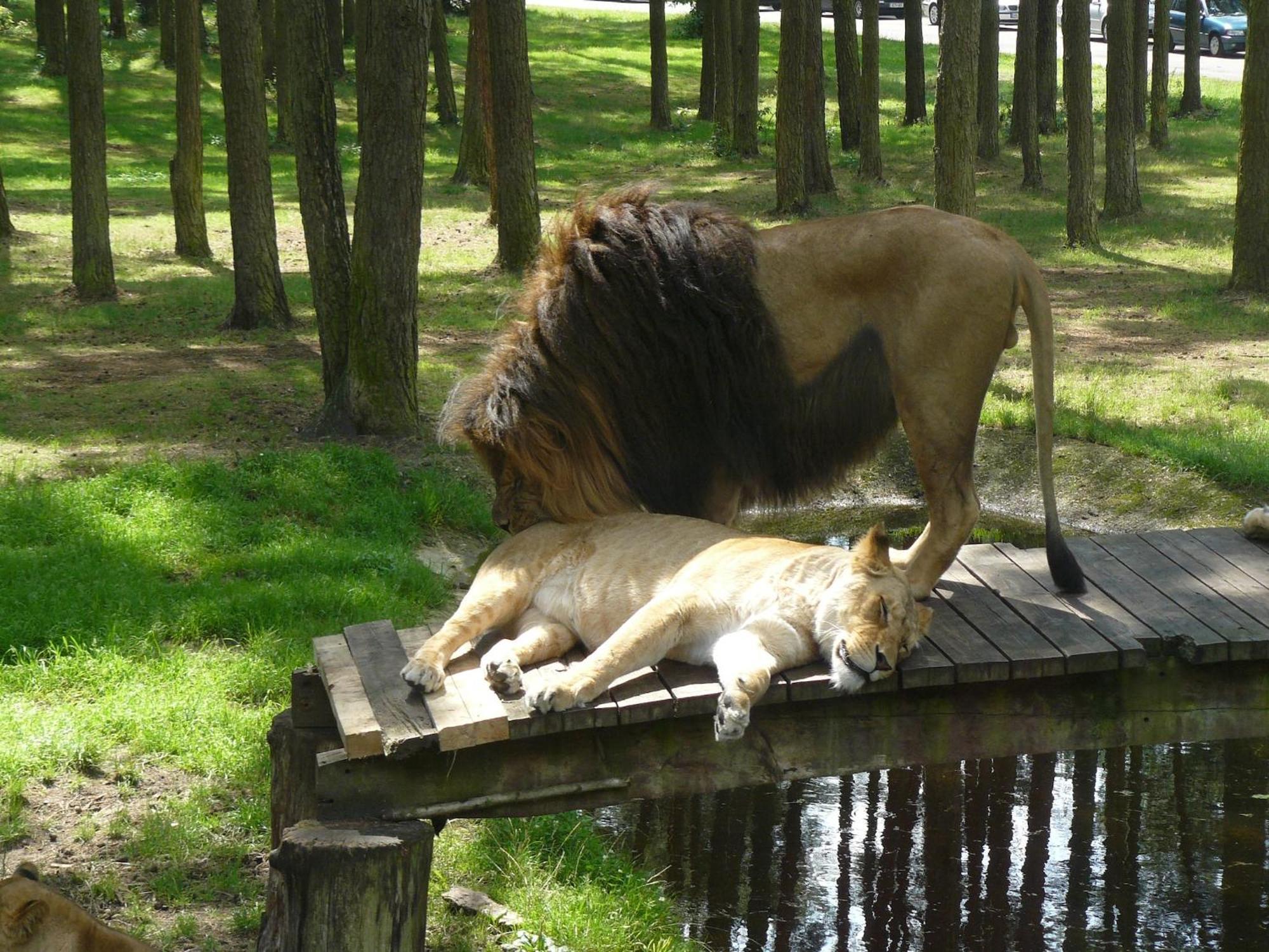 Holiday Home In Wietzendorf In The L Neburg Heath With A View Of The Countryside Luaran gambar