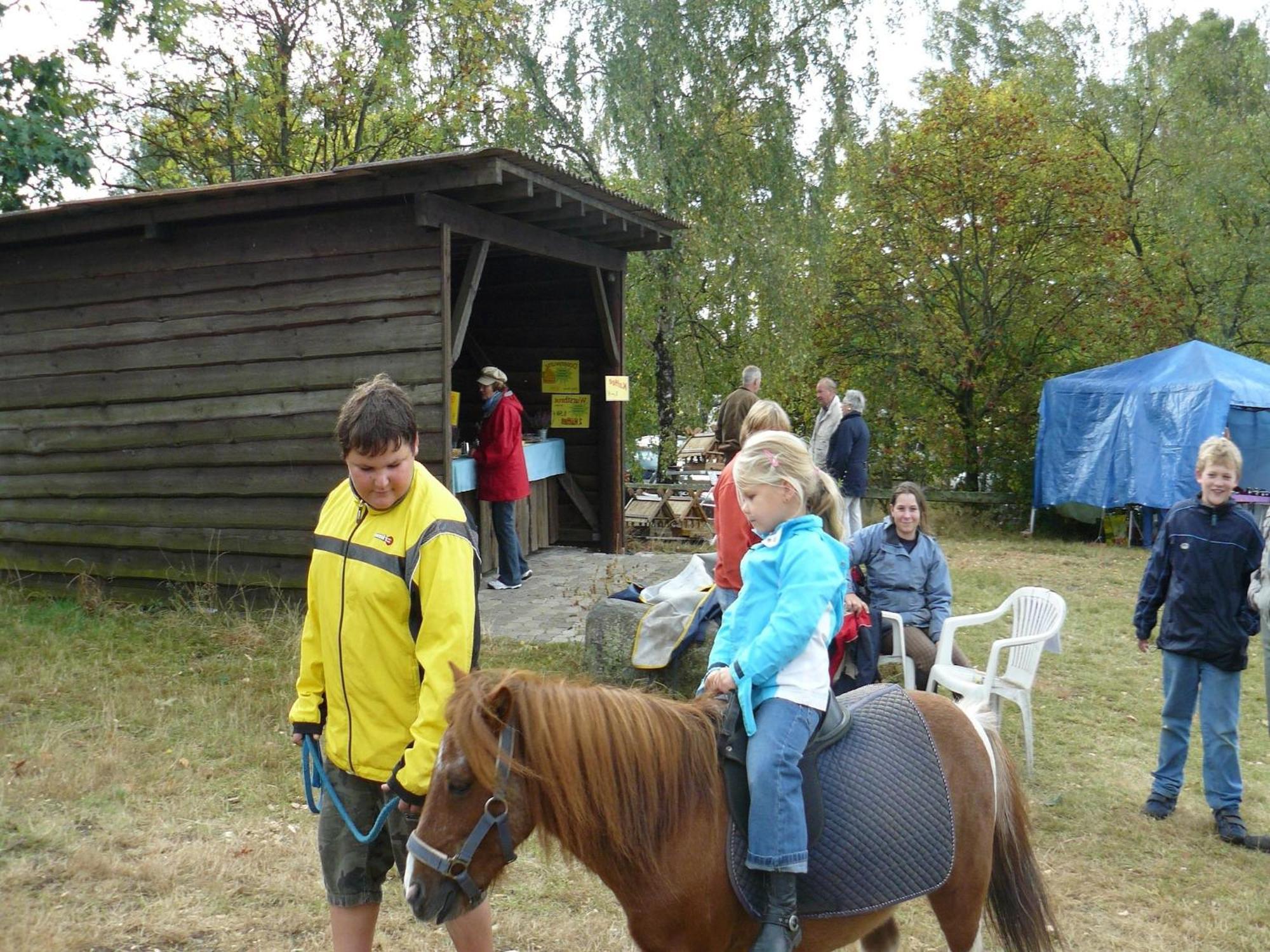 Holiday Home In Wietzendorf In The L Neburg Heath With A View Of The Countryside Luaran gambar