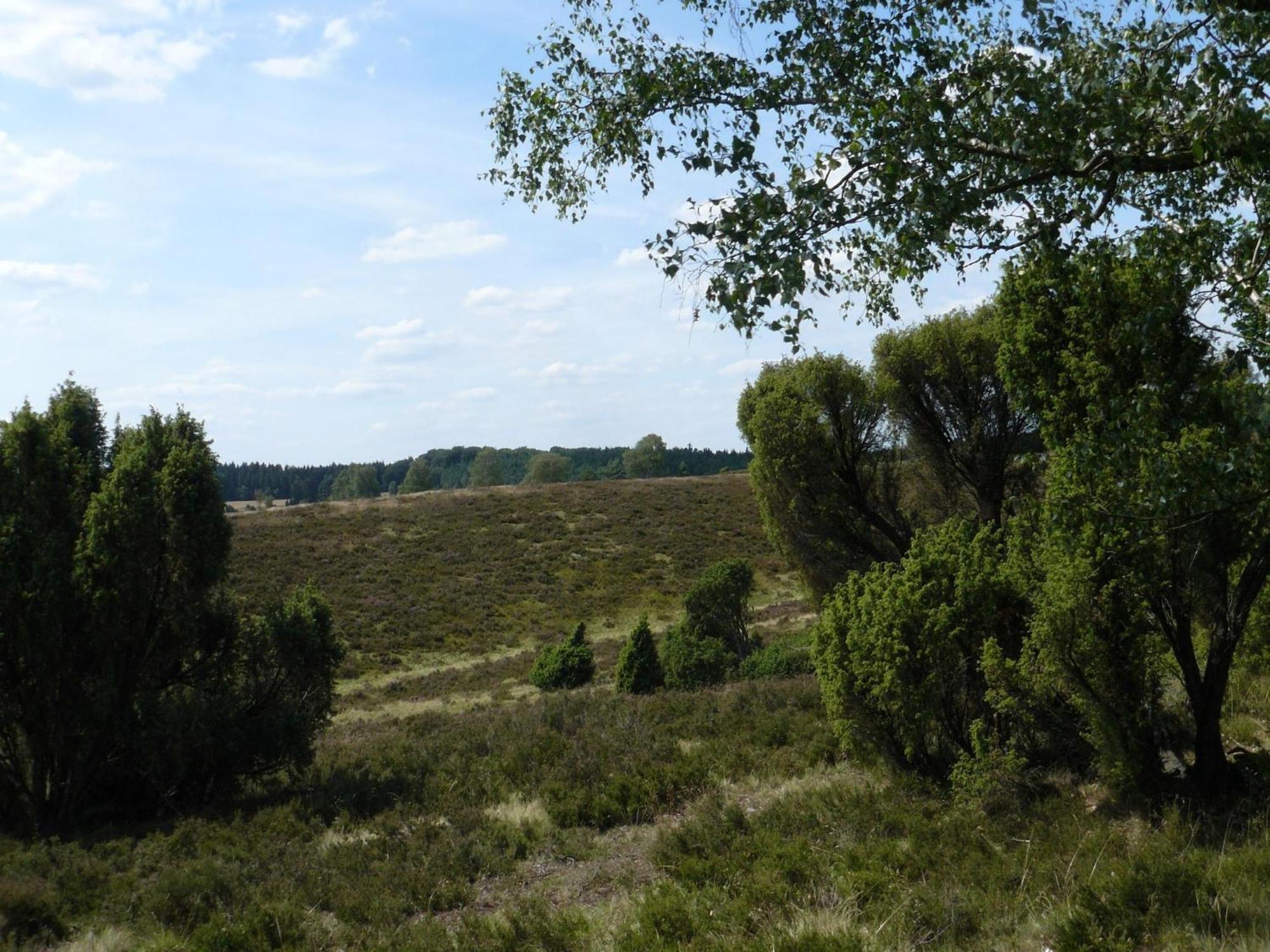 Holiday Home In Wietzendorf In The L Neburg Heath With A View Of The Countryside Luaran gambar