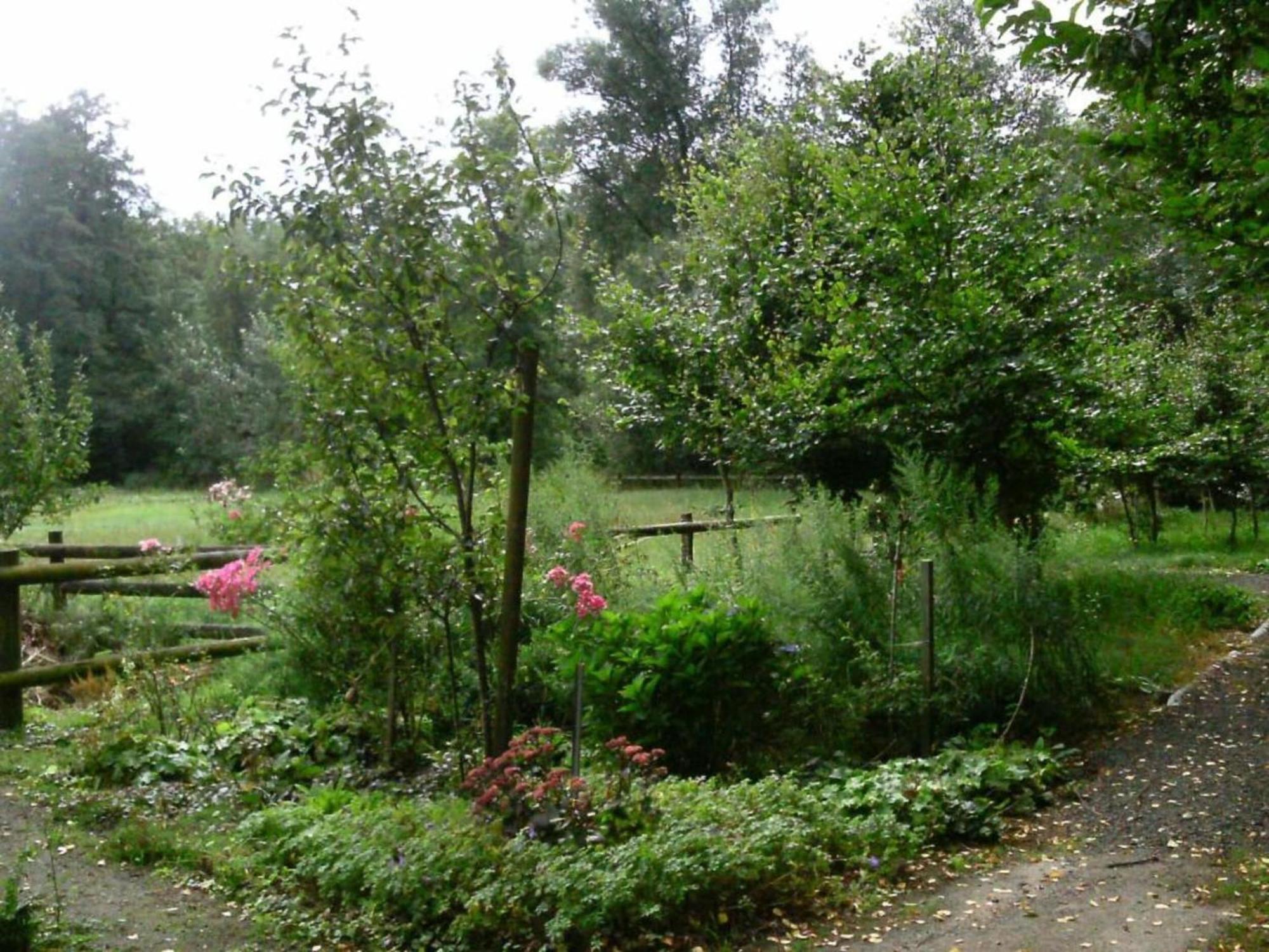Holiday Home In Wietzendorf In The L Neburg Heath With A View Of The Countryside Luaran gambar