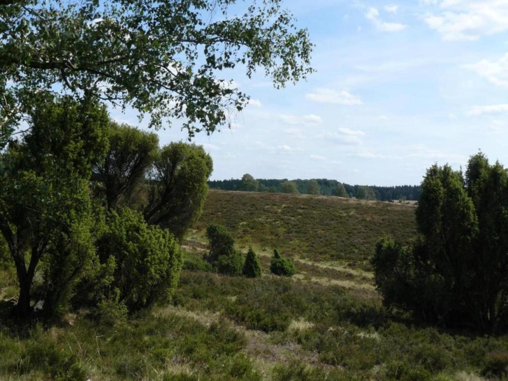 Holiday Home In Wietzendorf In The L Neburg Heath With A View Of The Countryside Luaran gambar